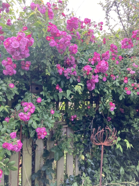36 North Sudley Road